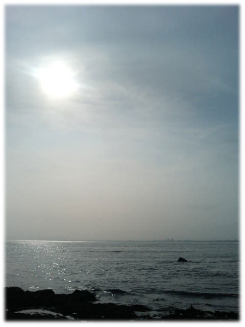 060722atENOSHIMA.jpg