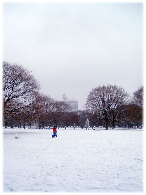 080203_snow_Yoyogipark01.jpg