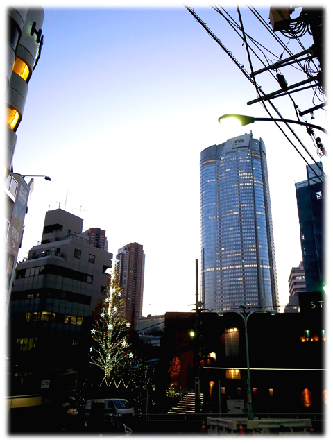 081228_Roppongi_Xmas.jpg