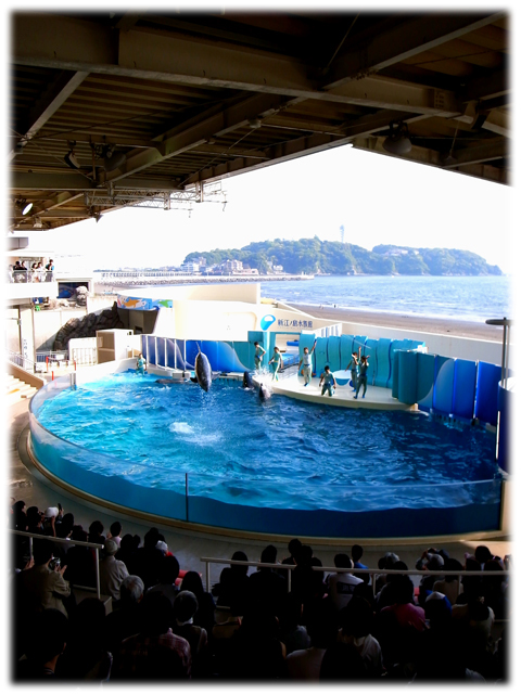 090517_Enoshima-aquarium-09.jpg