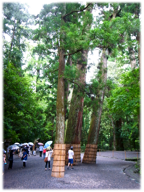 090705_IseJingu_07.jpg