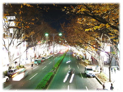 091204_Omotesando.jpg