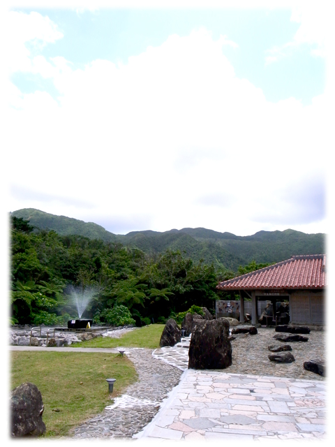 100608_Iriomoteonsen-01.jpg