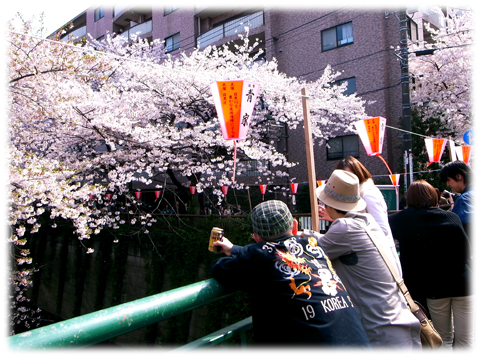 110410_Sakura-04.jpg