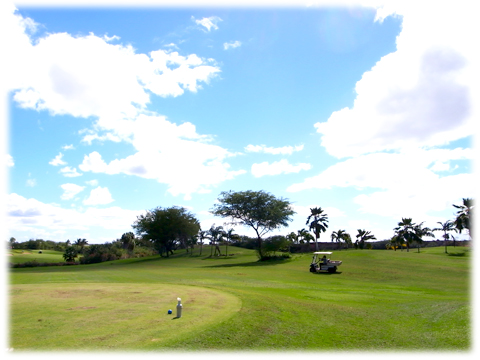 130305_Hawaii_Golf_2013_01.jpg