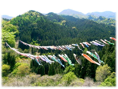 130506_Koinobori.jpg